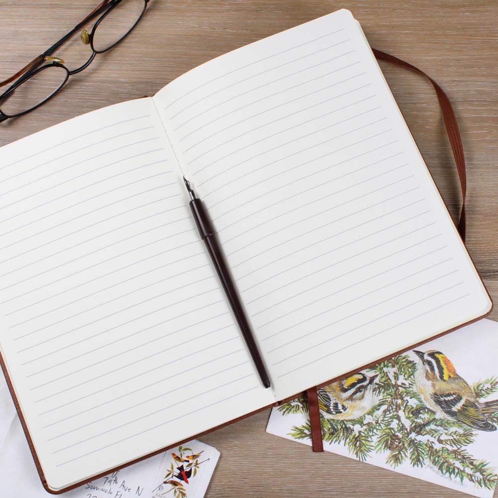 Softball Ready Journal
